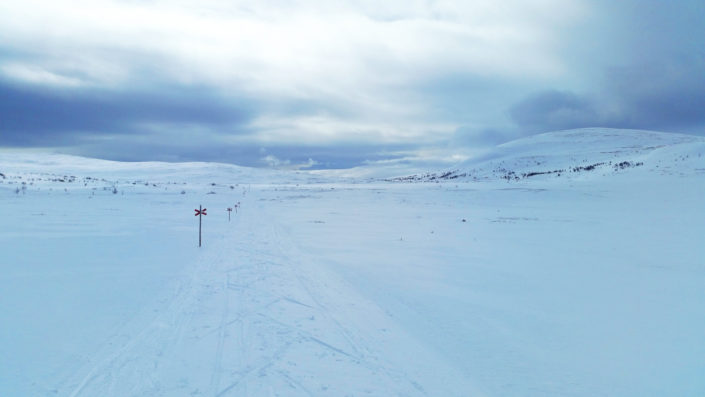 Bruksvallarnas