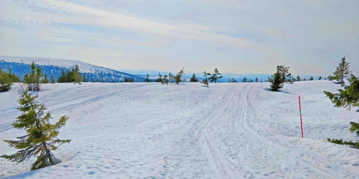 Sälenfjället Hemfjällstangen