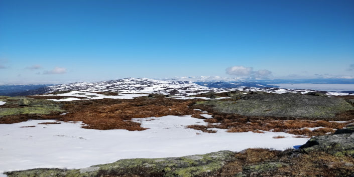 åre skare längdskidor arwidson